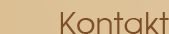Kontakt